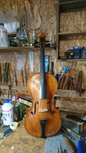 2017 Bellosio Viola