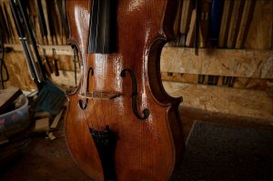 2017年製アンセルモベロジオのコピービオラ正面斜め
